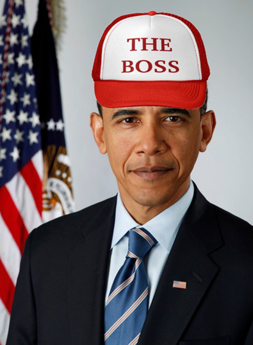 <p>The role of the president as head of the executive branch of the government.</p>