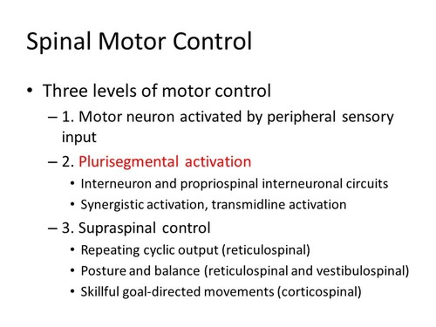 <p>(D) Supraspinal Circuits</p><p>Supraspinal Circuits incorporate the brain and brainstem.</p>