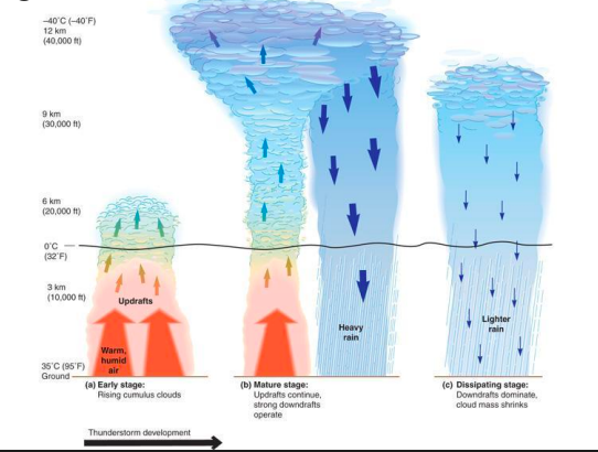 Early stage: rising cumulonimbus clouds.
Mature stage: Updrafts continue strong downdrafts operate.
Dissipating stage: Downdrafts dominate, cloud drafts sink.
