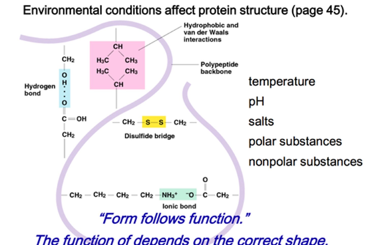 <p>pH, salt concentration, temperature, other aspects in its environment being altered - these factors cause the chemical bonds and interactions within a protein to be destroyed</p>