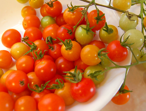 are small, round tomatoes that range in color from red - orange - yellow. They have small seeds inside.