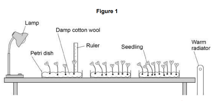 describe two improvements the students should make to their  investigation