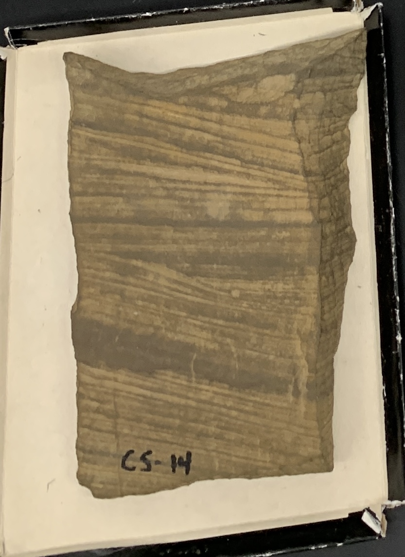 <p>CS-14</p>