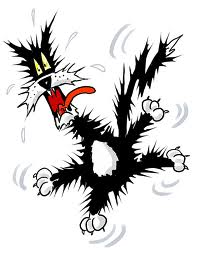 Stiffen with irritation or anger
