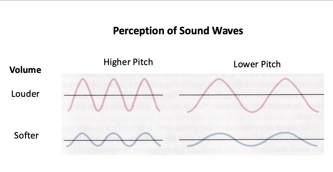<p>Pitch</p>