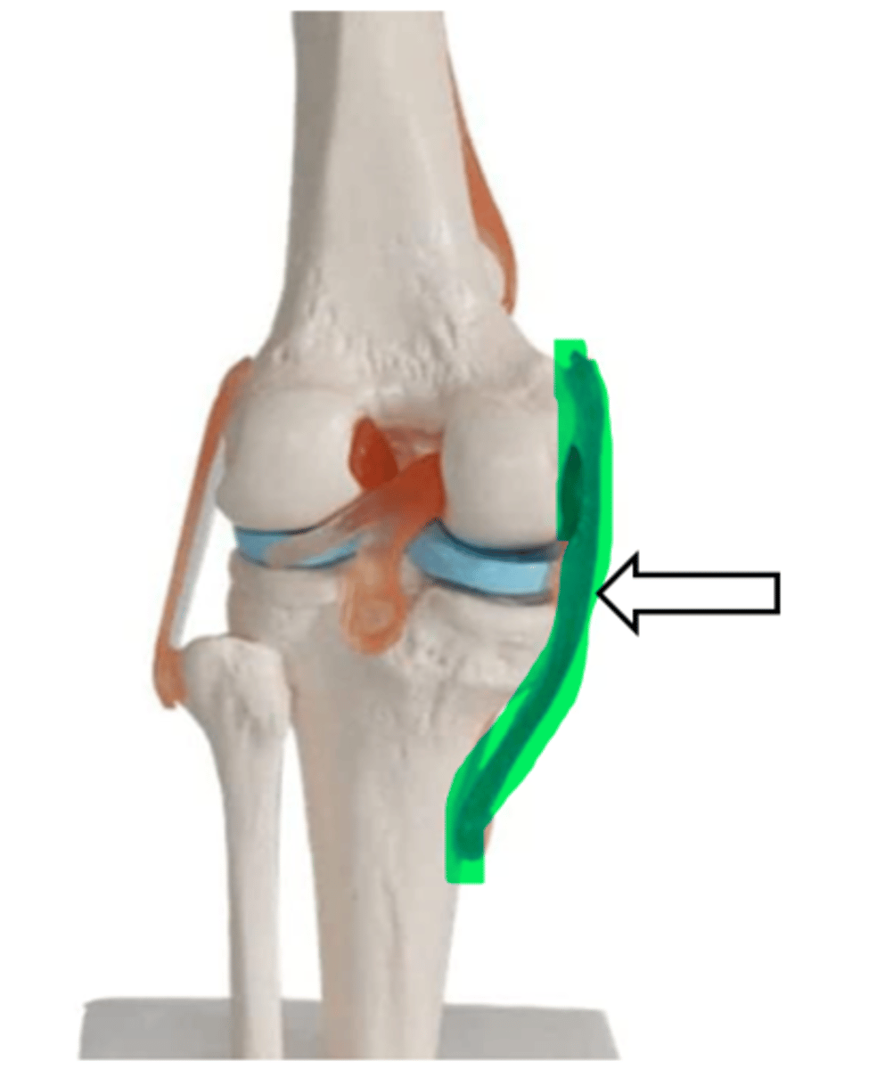 <p>name the articulation/joint</p>