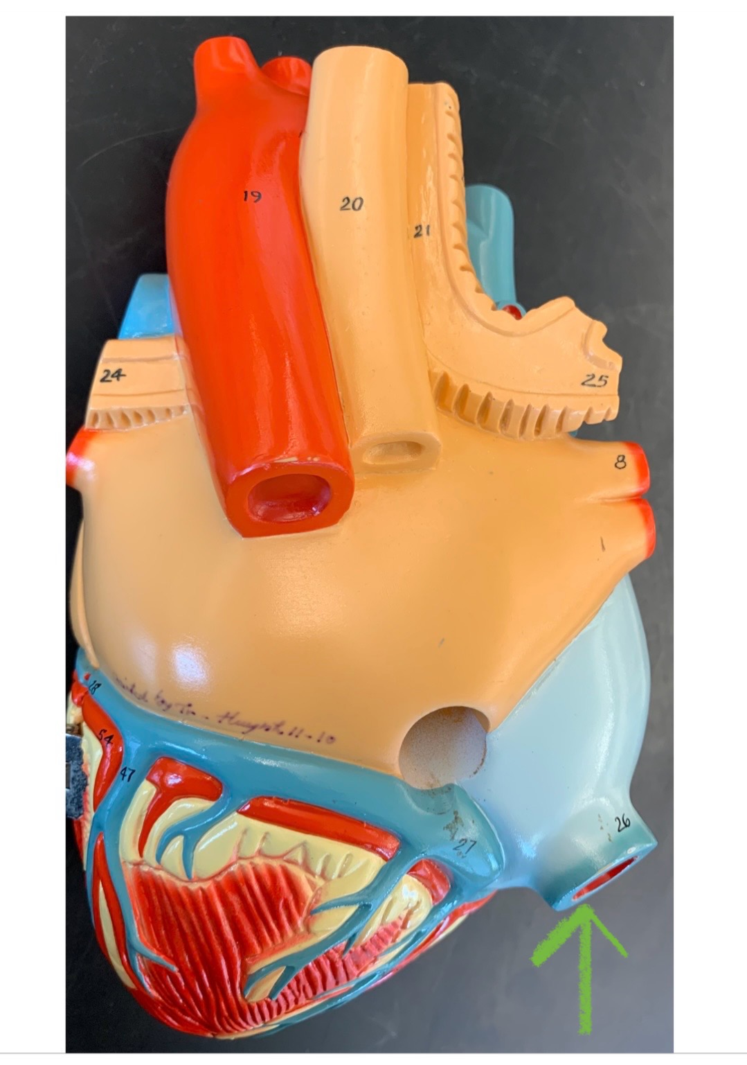 knowt flashcard image