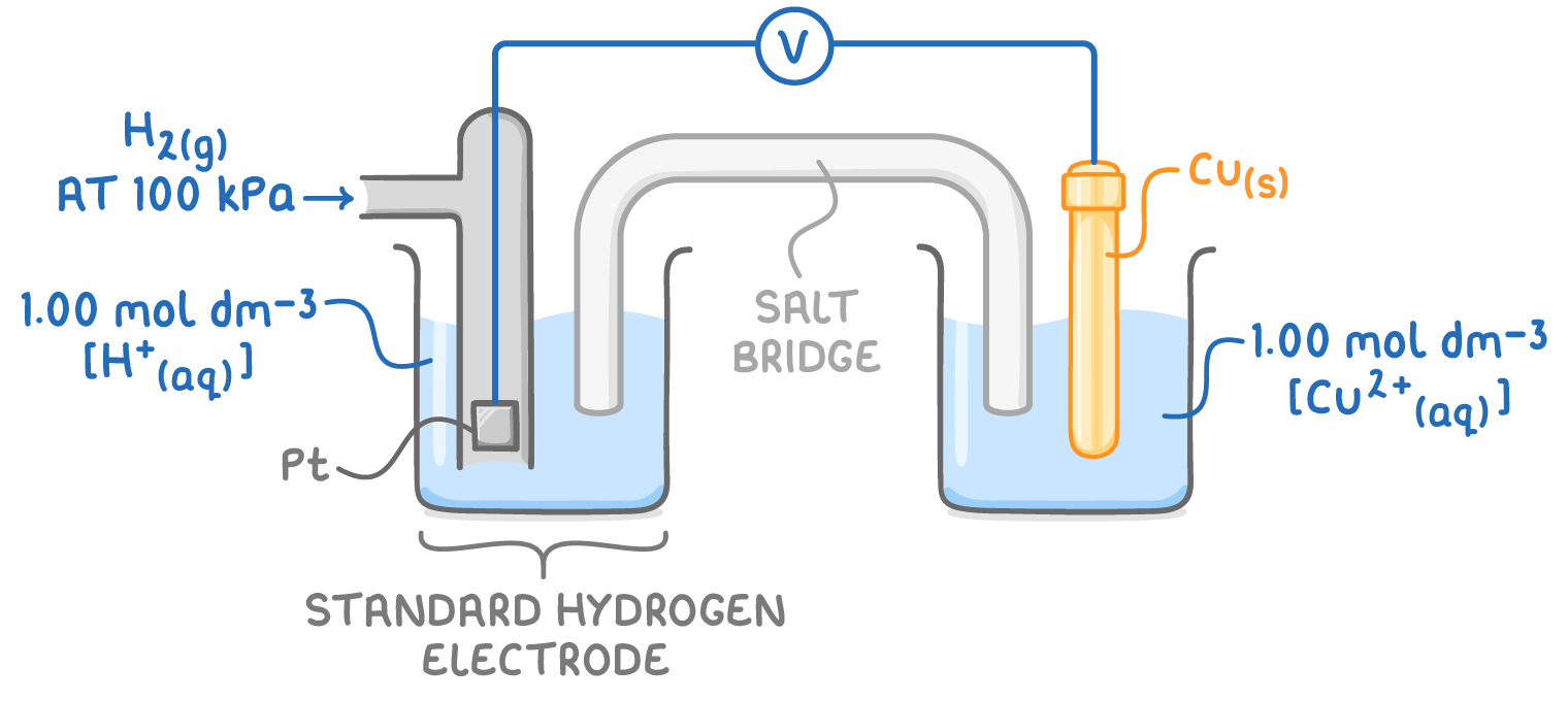 <ul><li><p>H<sub>2</sub> gas flows over the inert Pt electrode to establish the equilibrium 2H<sup>+ </sup><sub>(aq)</sub> + 2e<sup>-</sup> <strong>⇌</strong> H<sub>2</sub> <sub>(g)</sub></p></li><li><p>the standard hydrogen electrode is connected to the ½ cell under investigation under standard conditions</p></li><li><p>the E<sup>θ</sup> of the standard hydrogen electrode is 0.00 V by definition</p></li><li><p>so we can determine the E<sup>θ</sup> by using the formula E<sub>cell</sub> = E<sub>right</sub> - E<sub>left </sub></p></li></ul><p></p>