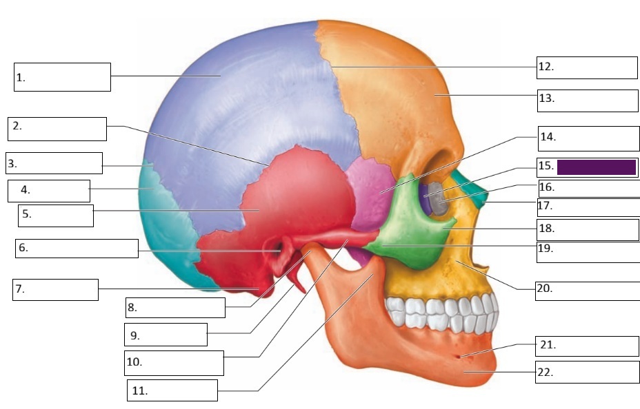 <p>15</p>