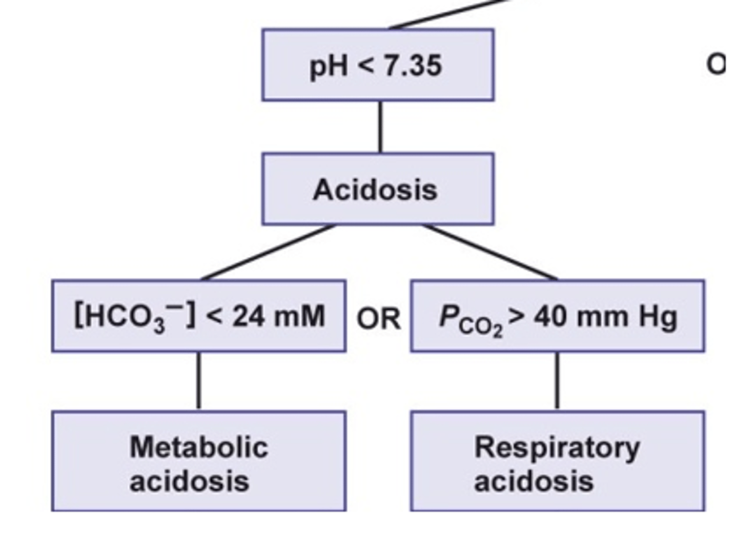 <p>- excessive production of acids<br>- prolonged diarrhea<br><br>- diarrhea: losing bicarbonate ion (HCO3-) via feces --&gt; loss of negative charge through loss of bicarb --&gt; no buffer for acids --&gt; metabolic acidosis</p>