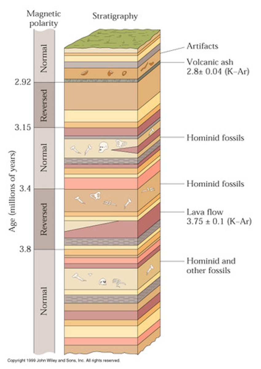 <p>In a sequence of layered rocks, the older rocks will be under the younger (newer) rocks.</p>