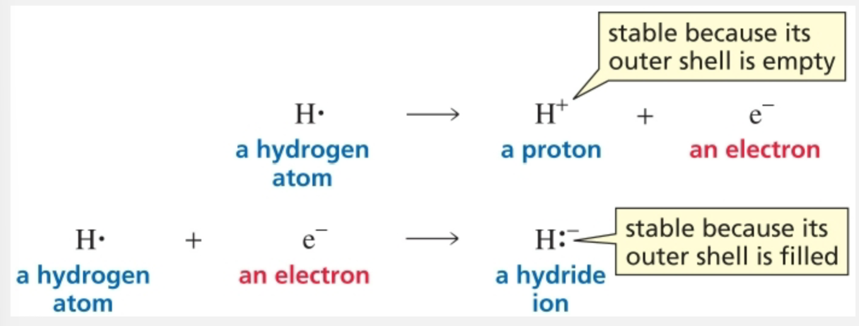 <p>Hydrogen can lose or gain an electron</p>