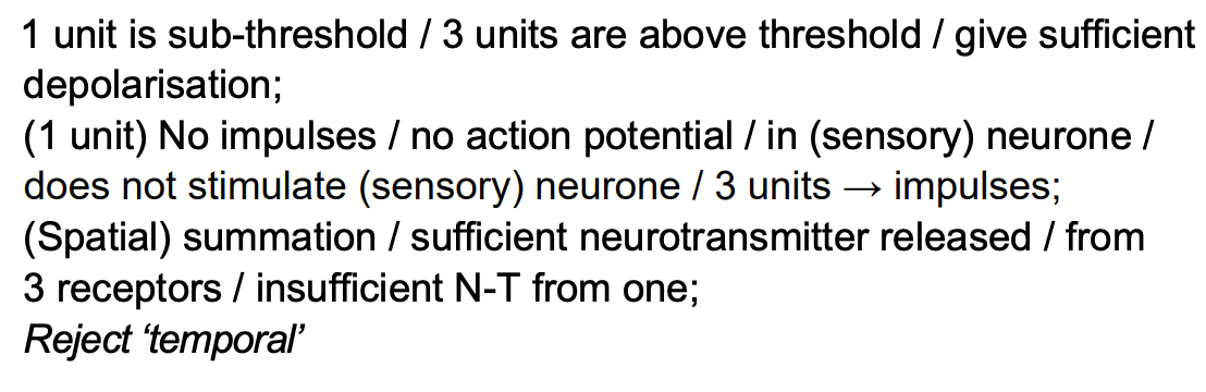 <ul><li><p>1 unit is sub-threshold/3 units are above threshold/give sufficient depolarisation</p></li><li><p>(1 unit) no impulses/no action potential/in (sensory) neurone/does not stimulate (sensory) neurone/3 units → impulses; </p></li><li><p>spatial summation/sufficient neurotransmitter released from 3 receptors/insufficient neurotransmitters from 1</p></li></ul><p></p>