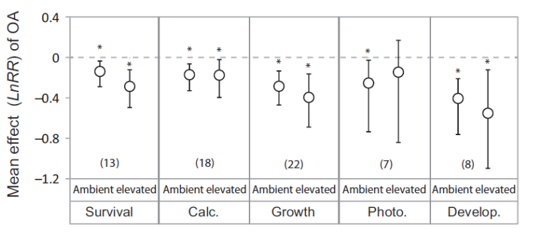 <p>Describe the interaction between acidification and elevated temperature.</p><p></p><p>What are the projections of future ocean pH?</p>