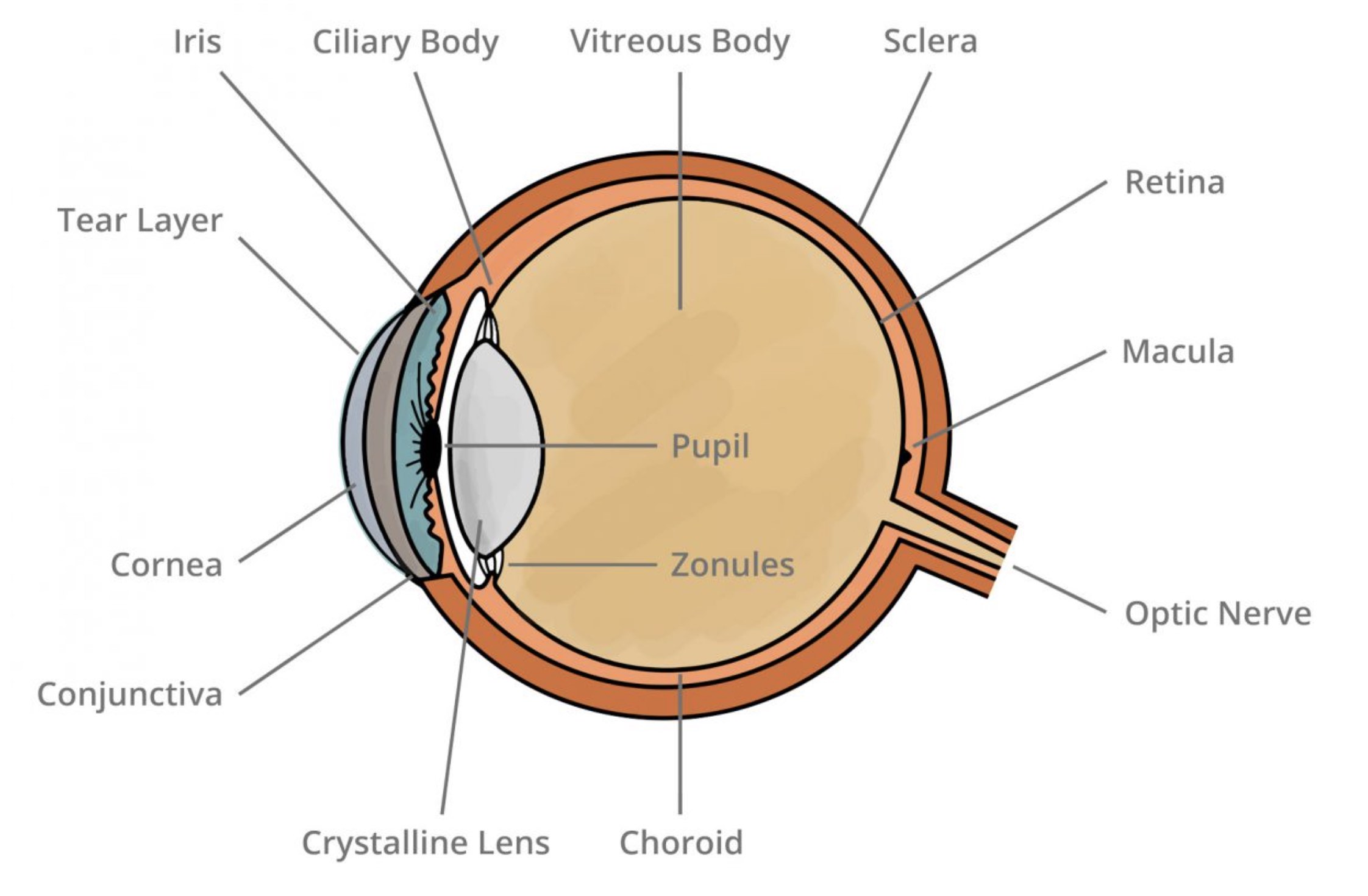 Labeled Eye Diagram