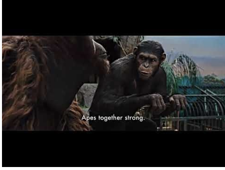 <p>Collective actions brings a stronger voice </p>