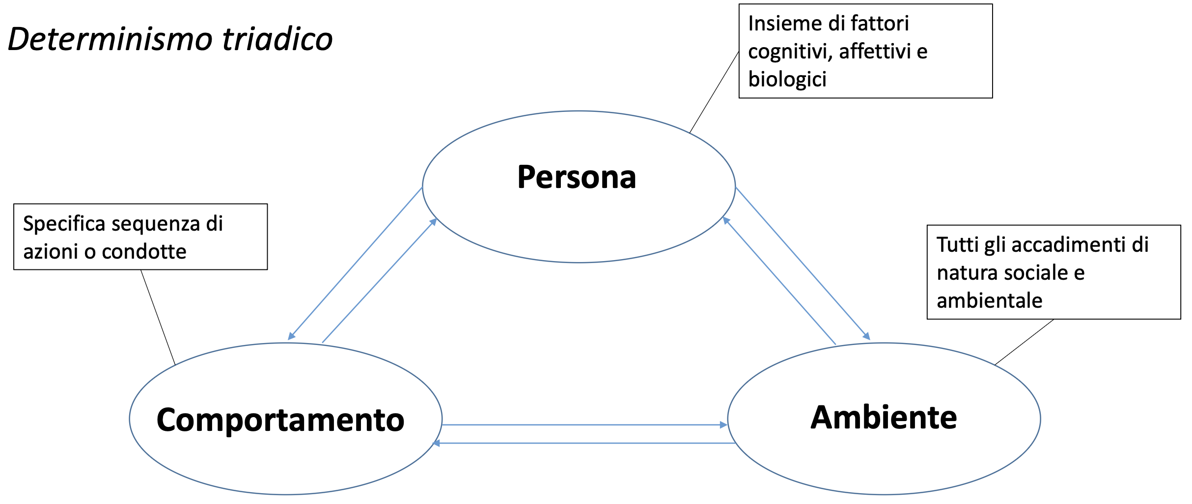 <p><span><strong>Comportamento</strong>, <strong>Persona</strong> e <strong>Ambiente</strong> </span><strong>interagiscono tra loro in modo bidirezionale e continuo</strong></p>