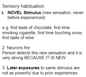 <p><strong><u>Introduction to sensation and perception (Mod 16)</u></strong></p><p>Initial, heightened feeling or reaction to a novel stimulus. However, later experiences are not as powerful due to prior experiences.</p><p><strong>Ex: </strong>the first time smoking a cigarette.</p>