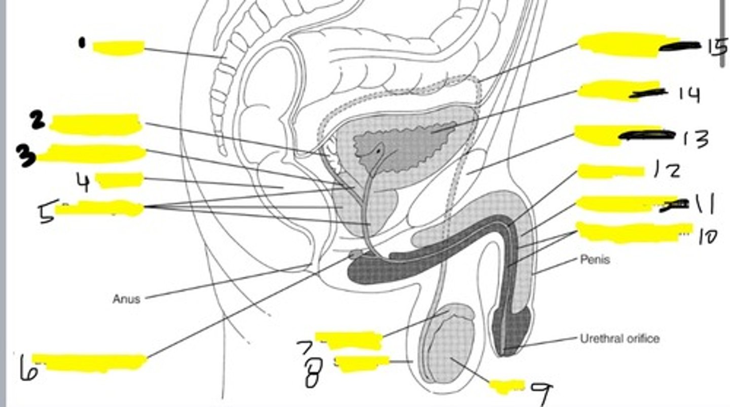 <p>6</p>