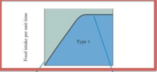 feeding rate=cN (linear). unrealistic with no handling time/limit to predators. some filter feeders