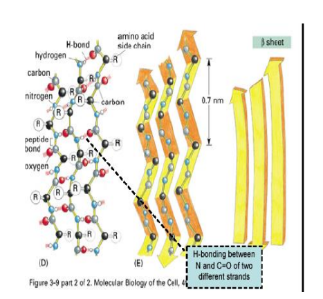 Pro, Gly i aa złańcuchami bocznymi obdarzonymi ładunkiem