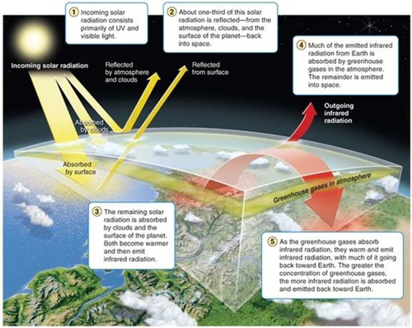 <p>Absorption of infrared radiation by the atmosphere gasses and reradiation of the energy back toward Earth.</p>