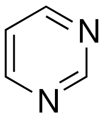 <p>cytosine</p><p>thymine</p><p>uracil</p>