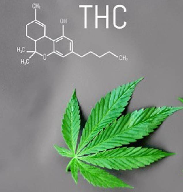 <p><span>Tetrahydrocannabinol (THC)</span></p>