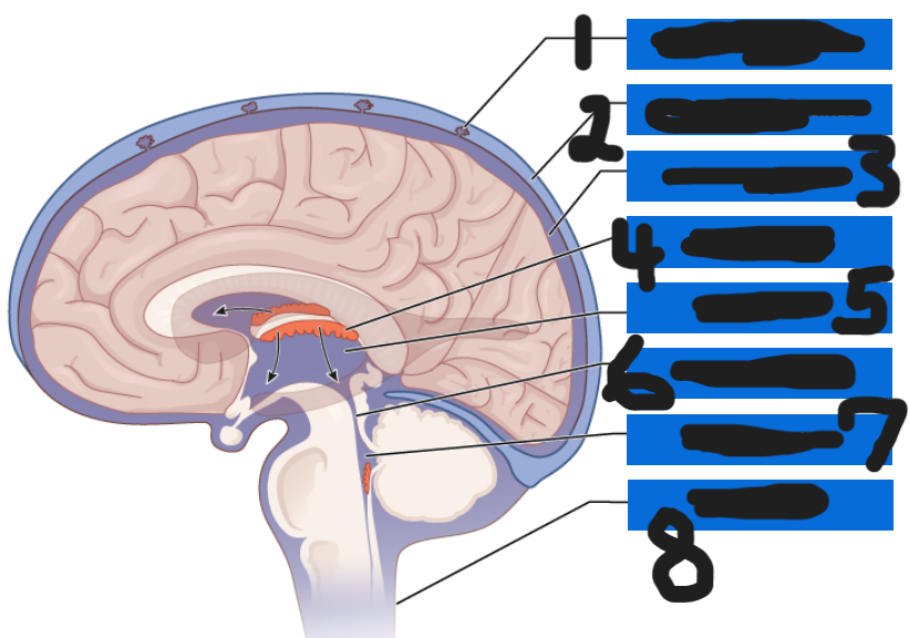 <p>what is number 2</p>