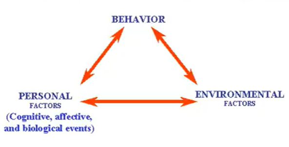 <p>Behavior ←→ Personal Factors ←→ Environmental Factors ←→ Behavior</p>