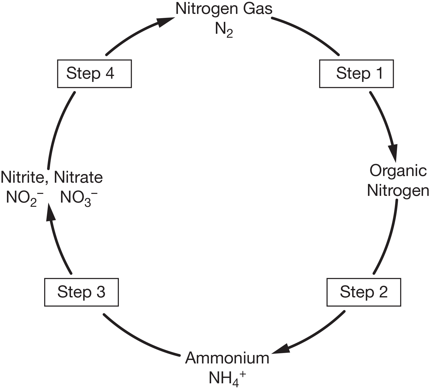 <p>What is step 1?</p>