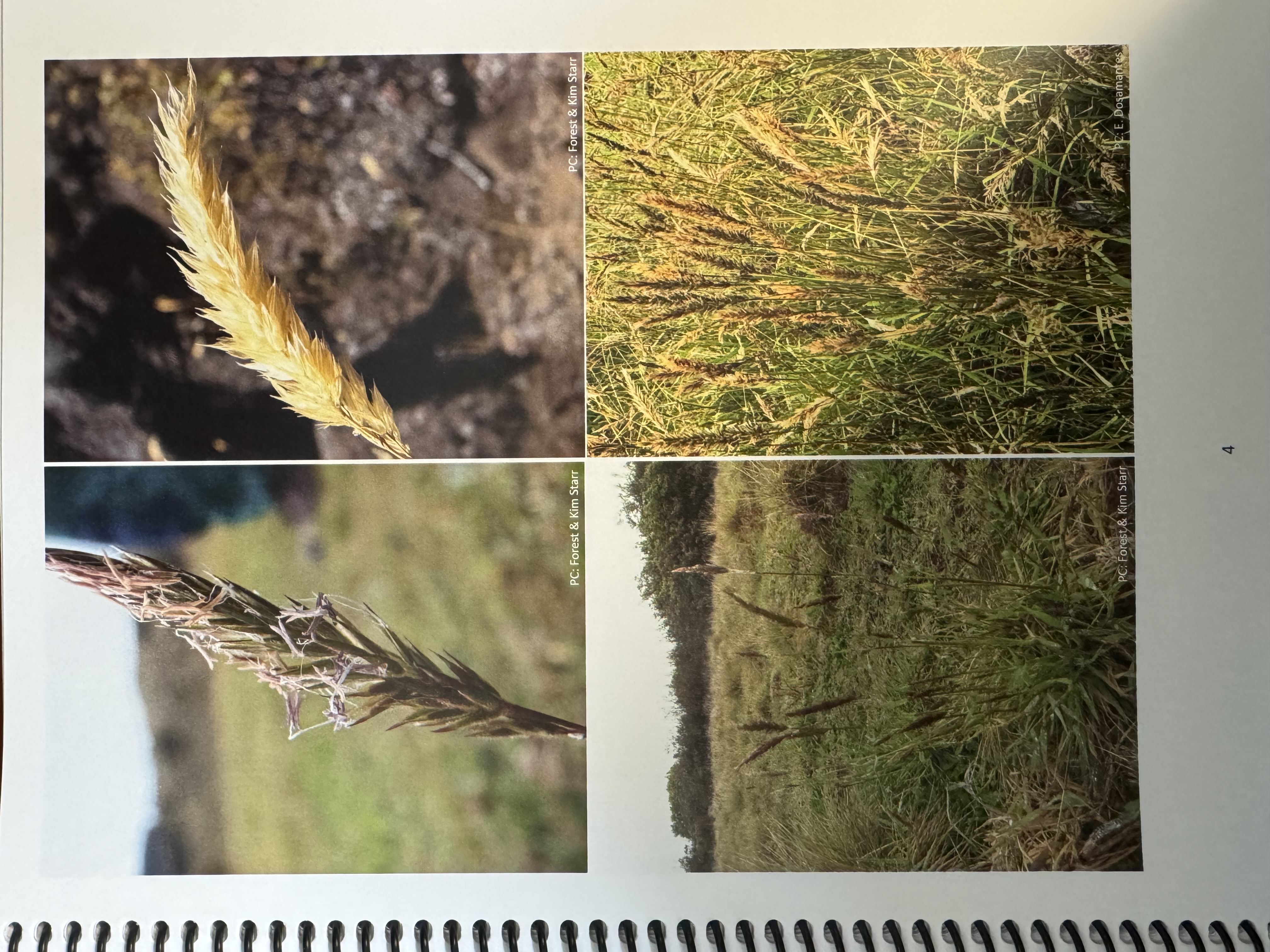 <img src="blob:null/b9ede14f-0f9f-40c3-ba3b-f53936a73a0f"><p></p>