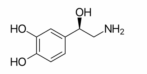 <p>Noradrenaline , which is also known as norepinephrine </p><ul><li><p>it is fight or flight which increase heart rate</p></li></ul><p></p>