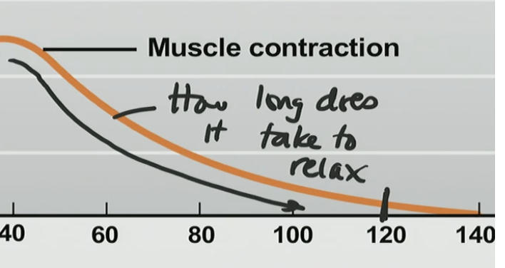 <p>How long does it takes to relax</p>