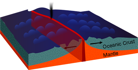 <p>oceanic crust</p>