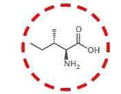 <p>What amino acid is this?</p>