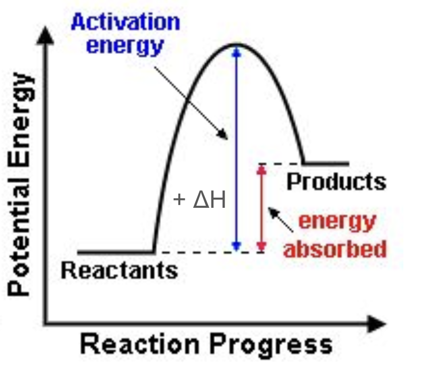<p>Does this graph represent an endothermic or exothermic reaction?</p>