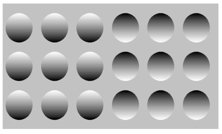 <p>assumptions that light sources are typically above our head (sunlight, light fixtures) → implacates in how we interpret shadows, and shapes based on those shadows</p><p>assumption can be exploited in illusions</p>