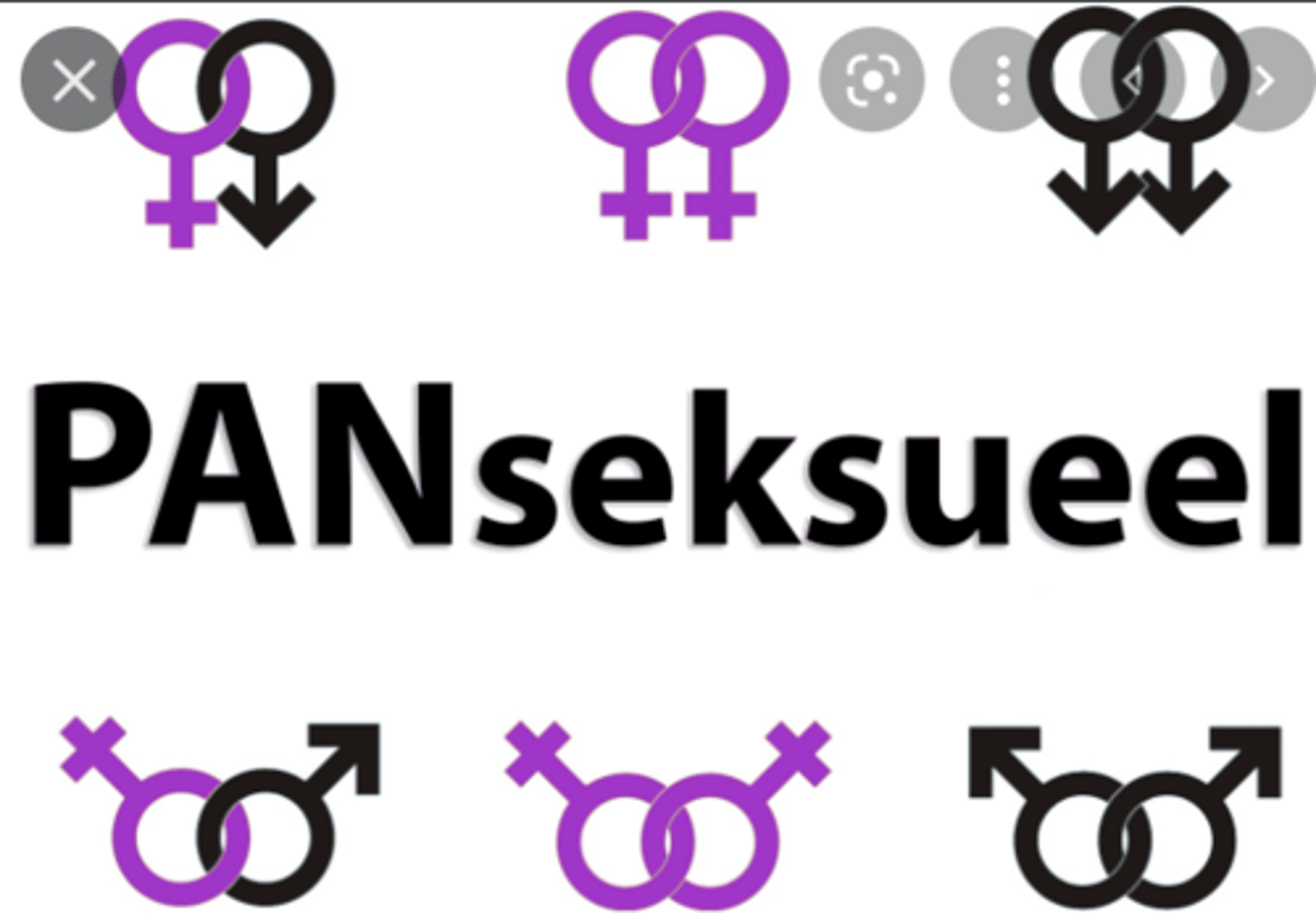 <p>je seksueel aangetrokken voelen tot mensen; het geslacht of gender maakt niets uit</p>
