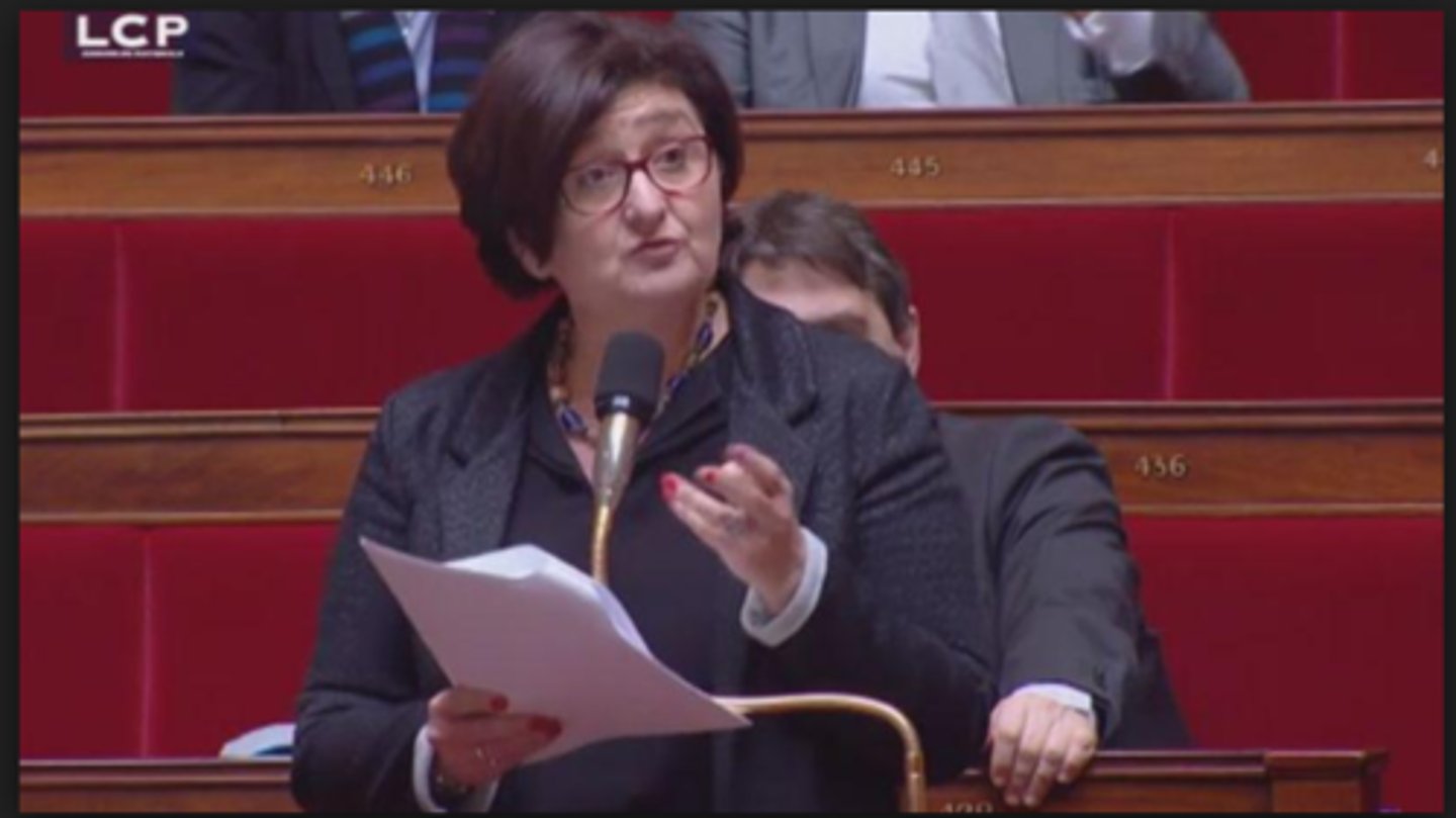 <p>deputy (politician); representative</p>