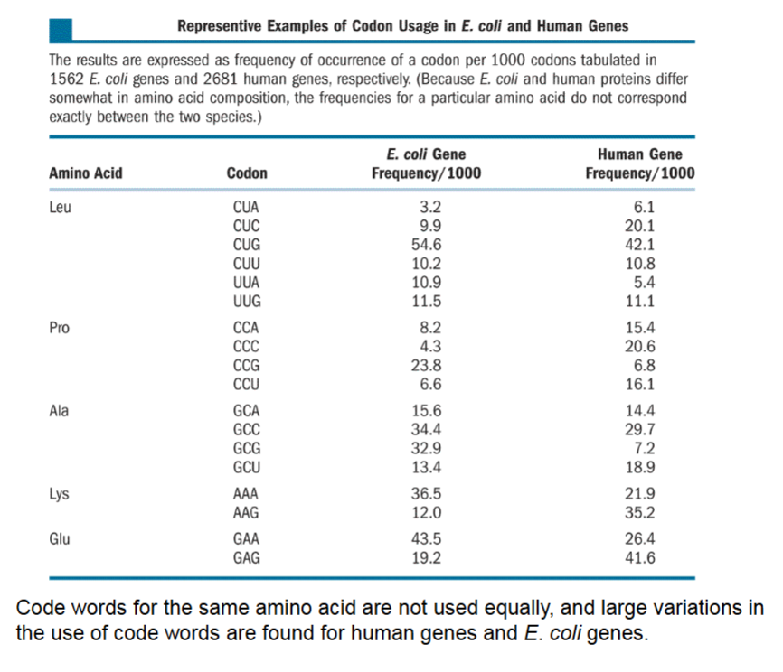 <ul><li><p>If an amino acid can have multiple code words, are they all used equally? No,</p></li><li><p>Can’t predict code words from trends, see Lys/Glu in E. coli versus humans.</p></li></ul><p></p>