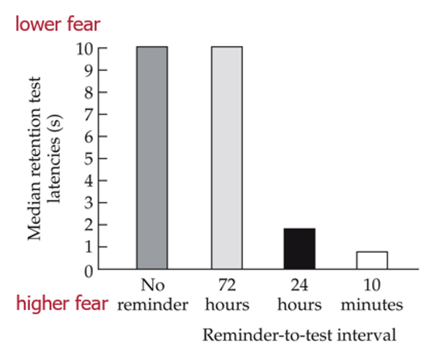 <p>CS &gt; Shock - avoidance? </p><p>- rats conditioned CS &gt; shock &gt; avoidance behaviour. </p><p>- wait 3 days</p><p>- If a reminder was given to the rats 10 minutes before the test session (after 3 days) performance is very good/forgetting is reduced (high fear again).</p><p>- but not if the reminder was given 3 days before the test (lower fear) </p>