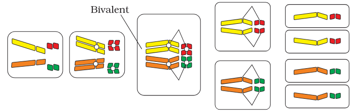 <p>What is this process called?</p>