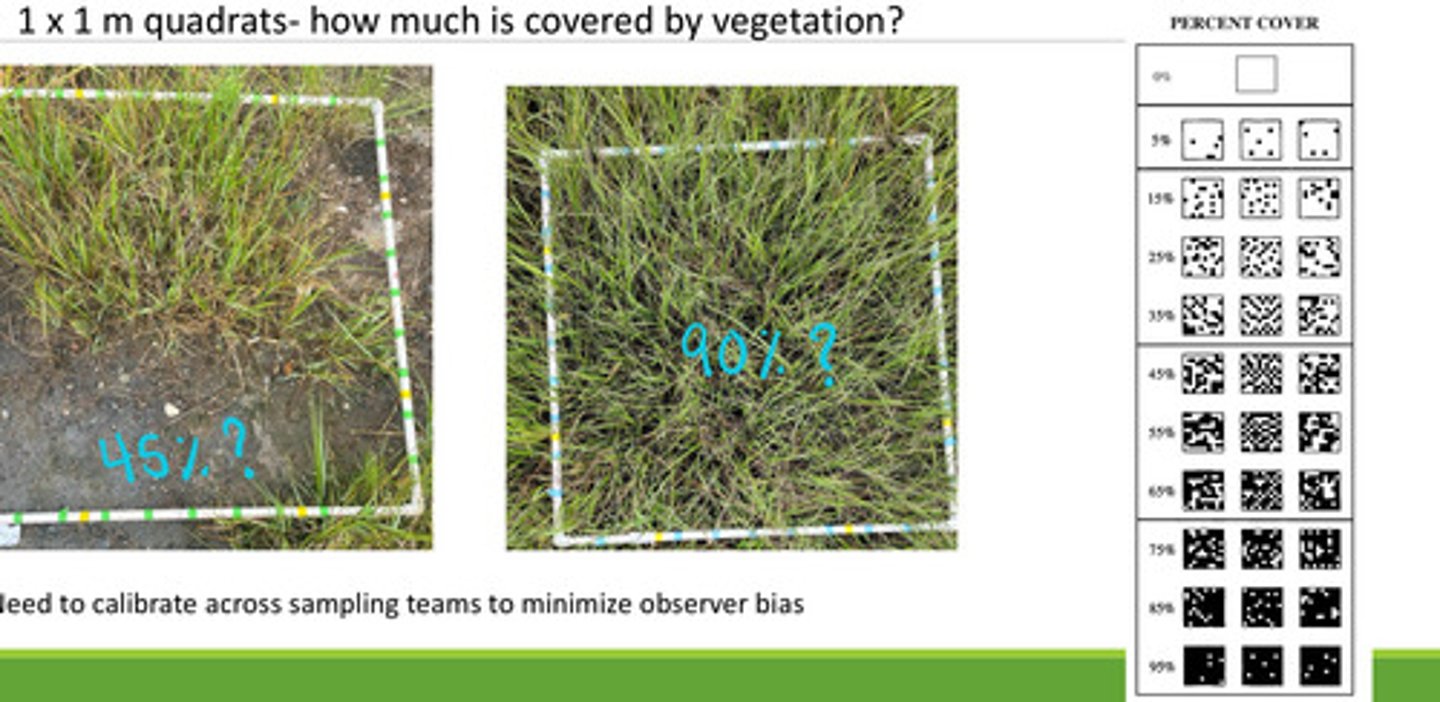 <p>- how much over the area appears to be covered by veg?</p><p>- best estimate you can, working with others to get the most accurate values</p>