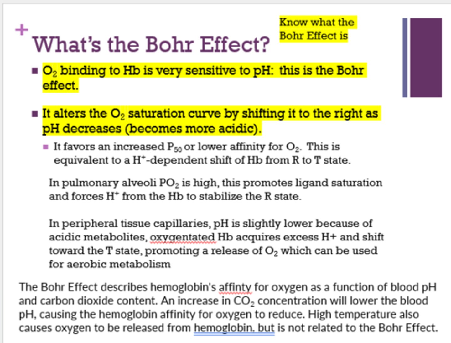 <p>shifts right</p>