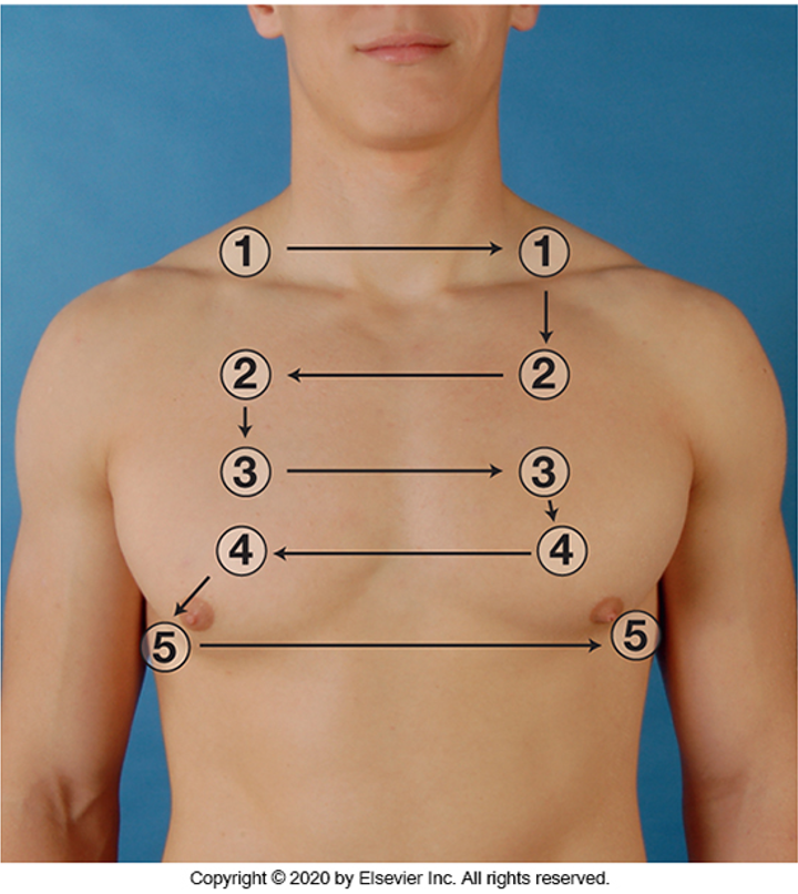 <p><span style="font-family: Arial">Begin auscultation from the apices in supraclavicular areas to 6<sup>th</sup> rib.</span></p><p><span style="font-family: Arial">•Perform bilateral comparison.</span></p><p><span style="font-family: Arial">•One full respiration</span></p><p><span style="font-family: Arial">•Do not auscultate directly over female breast tissue.</span></p>