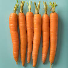 <p>Carrots</p>