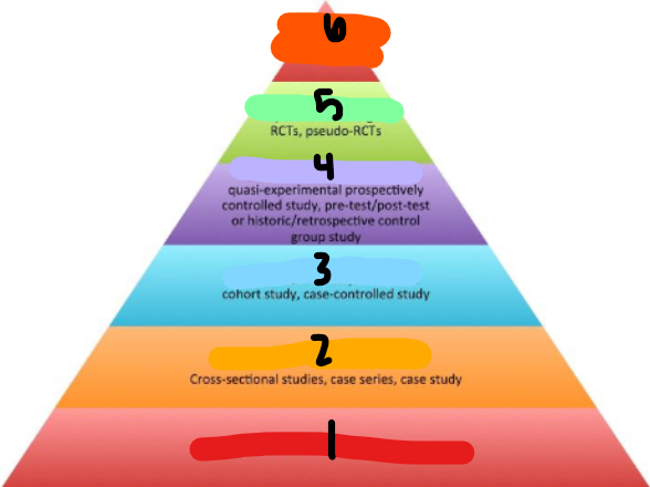 <p>EBM PYRAMID</p>