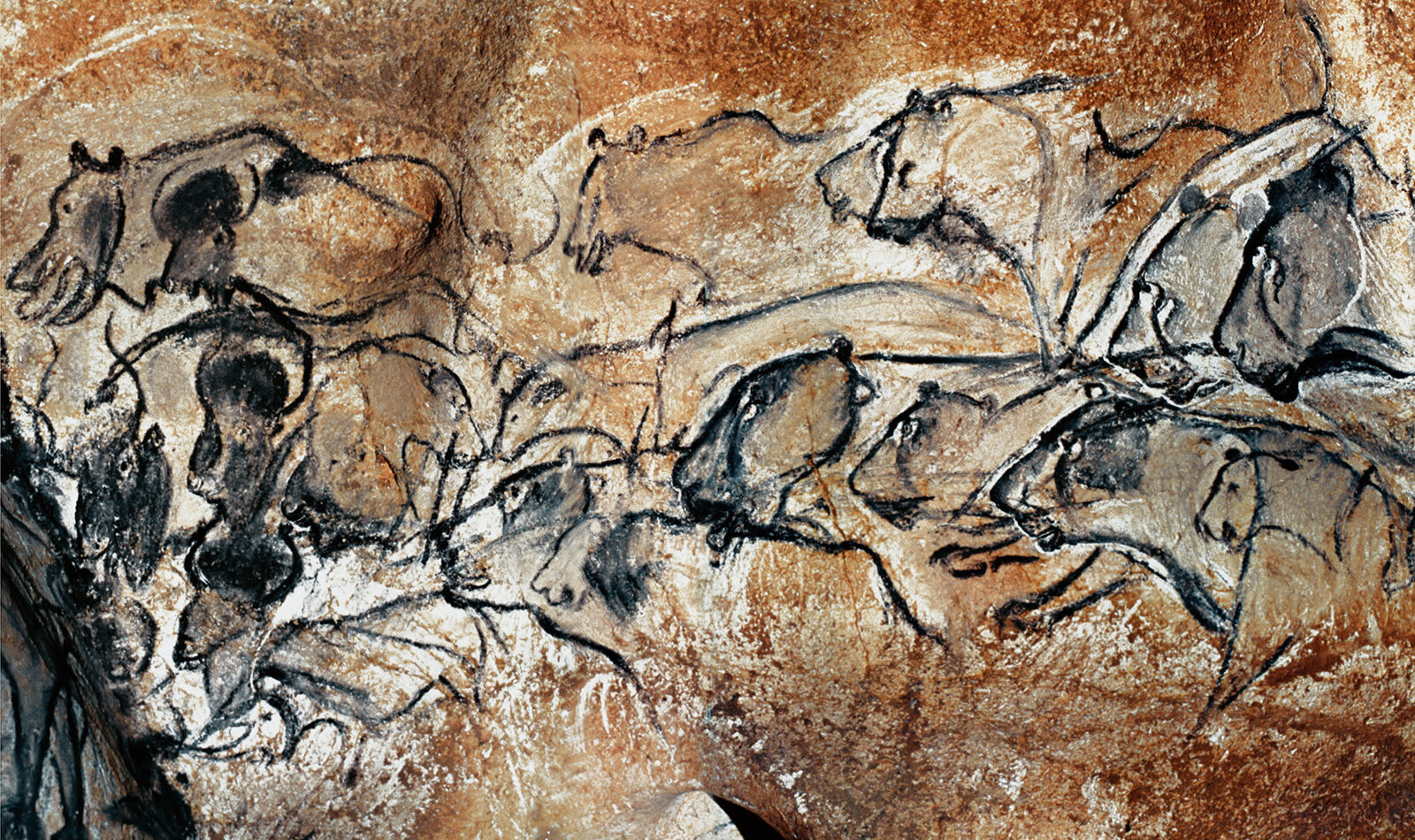 <p>High skill in naturalistic depiction, including predators and movement. 36 000 years old</p>