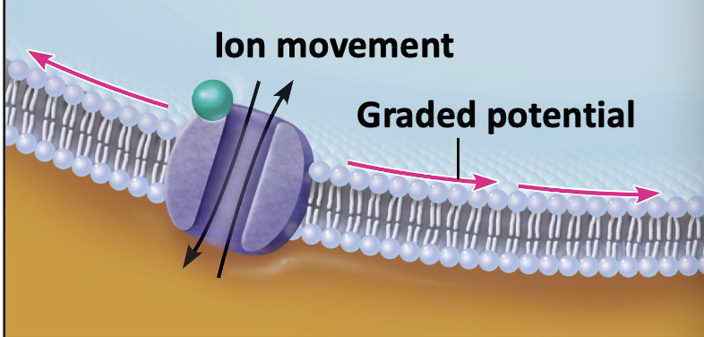 <p>what is happening in this image?</p>
